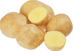 Картофель семенной Гала элита 10 кг